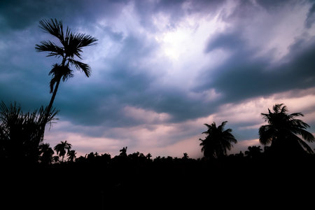A silhouette of trees and houses with orange sky full of dark blue clouds above. Calmness before the...