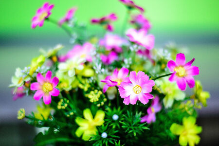 artificial flowerの写真素材