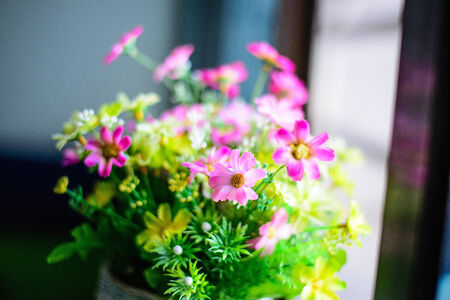 artificial flowerの写真素材