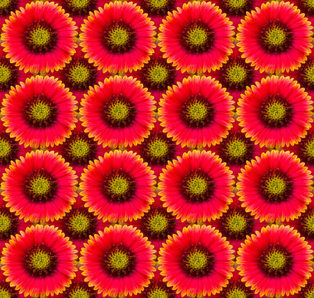 seamless red flowers pattern backgroundの写真素材