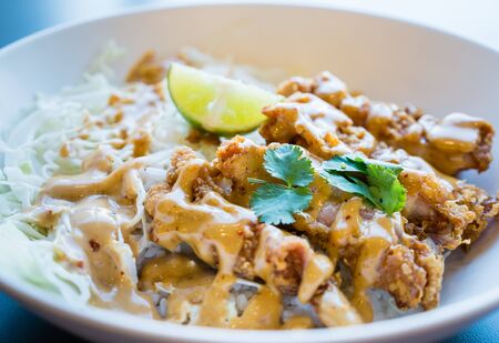 Fried chicken with rice and sauceの写真素材