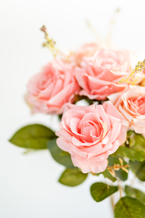 Pink roses bouquetの写真素材