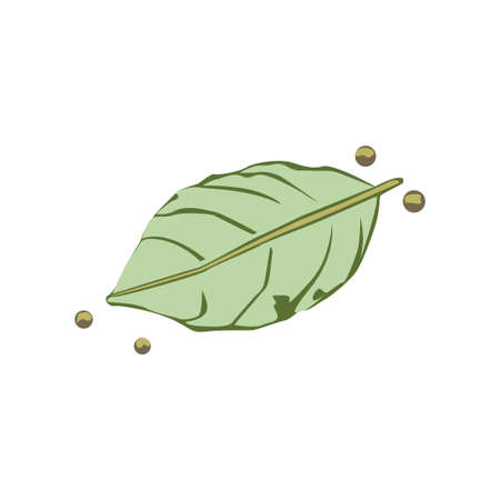 Illustration Vector graphic of natural leaf designのイラスト素材