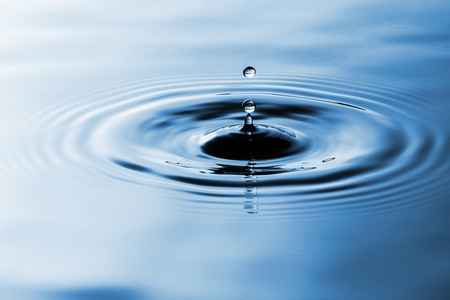 Clean water drops evoke pure nature.の写真素材