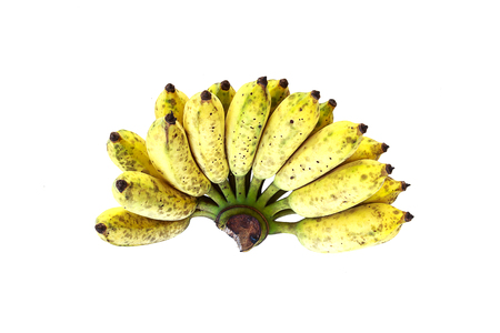 Banana fruit is rich in vitamins and nutrients.の写真素材