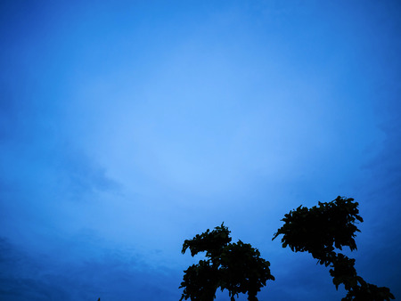 silhouette Tree in Evening sky,silhouette Natureの写真素材
