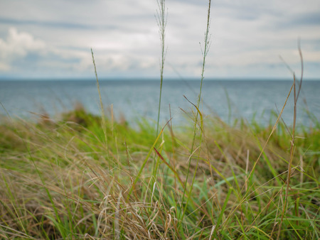 Sweet Grass on the Sea cape with beautiful sea and sky,Nature in Thailand nation park,travel conceptの写真素材