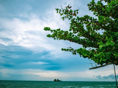 Idyllic Ocean Blue sky and Green tree beside the ocean,Holiday summer travel conceptの写真素材
