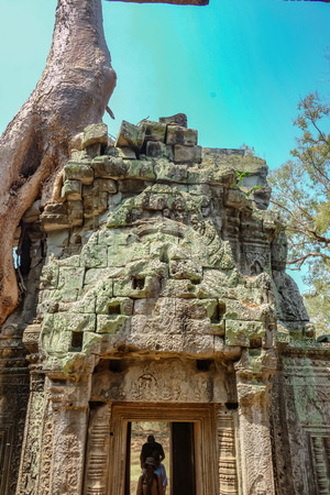Ancient stone castle in Ta prohm temple,wonder of the worldの写真素材
