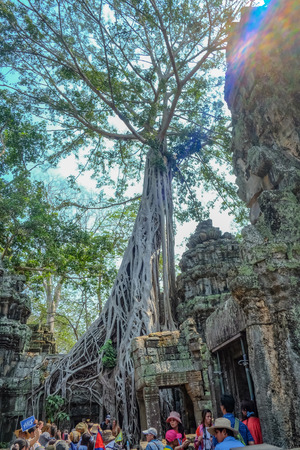 Siemreap/Cambodia - February 03 2016:Giant Tree and  blue sky with tourist in ta phom temple siem reap cambodia,wonder of the worldのeditorial素材