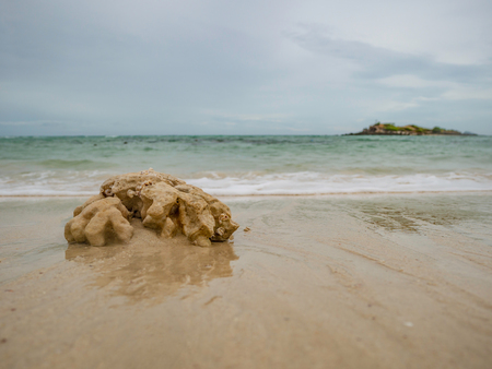 Close up Rocky stone on the beach,Tropical Idyllic Beach and blue sky with ocean wave in vacation time,Summer concept.の写真素材