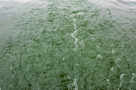 Green Water surface at xihu lake in hangzhou city china in winter seasonの写真素材