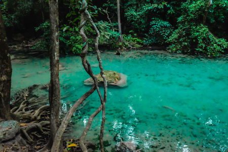Deep forest waterfall in erawan national park kanchanaburi ,Thailand nature travelの写真素材