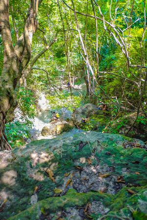 Deep forest waterfall in erawan national park kanchanaburi ,Thailand nature travelの写真素材