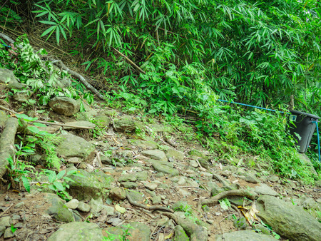 Forest walkway to the top of the Khao Luang mountain in Ramkhamhaeng National Park,Sukhothai province Thailandの写真素材