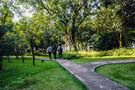 Park beside the lake in xiqiao mountain destination in foshan city chinaの写真素材