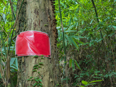Warning post in Khao Luang mountain in Ramkhamhaeng National Park,Sukhothai province Thailandの写真素材