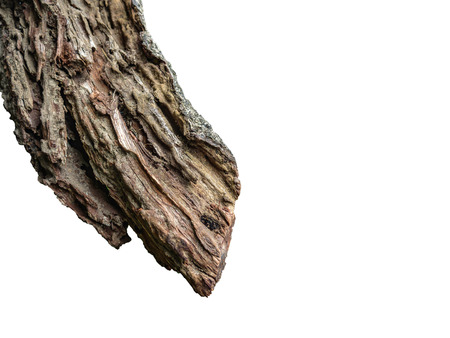 Broken Tree Lumber on isolated backgroundの写真素材