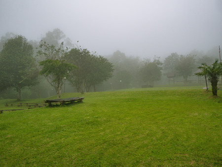 Green field For camping with mist on Khao Luang mountain Ramkhamhaeng National Park in rainy day,Sukhothai province Thailandの写真素材