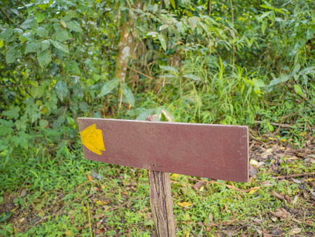 Guide Post in Khao Luang mountain in Ramkhamhaeng National Park,Sukhothai province Thailandの写真素材