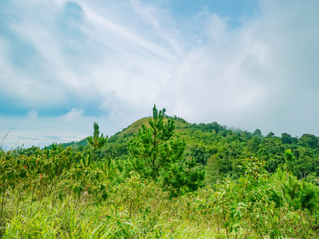 Khao Luang mountain With beautiful Blue Cloud sky in Ramkhamhaeng National Park,Sukhothai province Thailandの写真素材