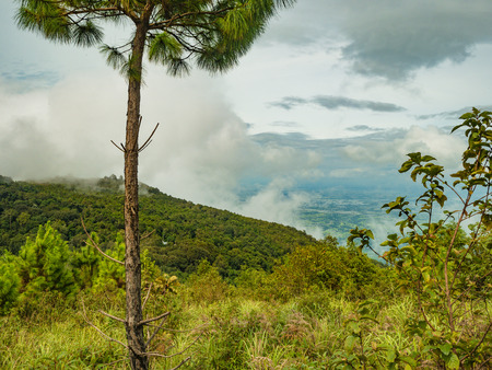 Beautiful nature and cloud sky view on Khao Luang mountain in Ramkhamhaeng National Park,Sukhothai province Thailandの写真素材