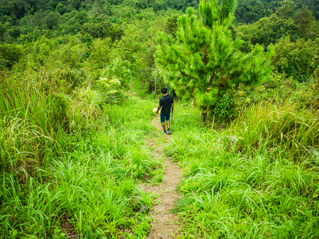 Back of Trekker walk in Khao Luang mountain  in Ramkhamhaeng National Park,Sukhothai province Thailandの写真素材