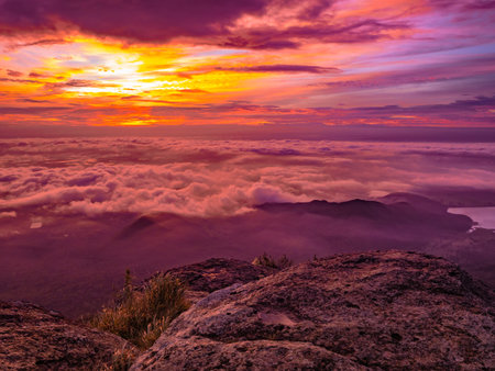 Beautiful Sunrise Sky with Sea of the mist of fog in the morning on Khao Luang mountain in...