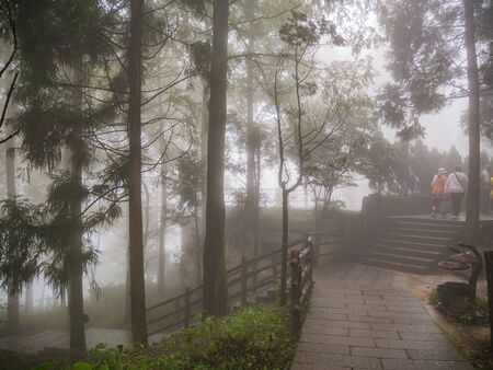 Fog cover all of tianzi mountain in Zhangjiajie National Forest Park in Wulingyuan District Zhangjiajie City China in the Foggy day.の写真素材