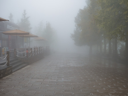 zhangjiajie/China - 14 October 2018: Fog cover all of tianzi mountain in Zhangjiajie National Forest Park in Wulingyuan District Zhangjiajie City China in the Foggy day.のeditorial素材