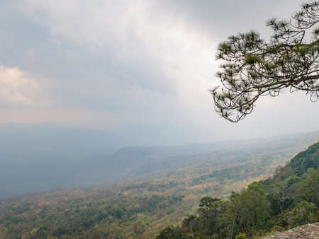 Beautiful scenery view from Phu Kradueng mountain national park in Loei City Thailand.Phu Kradueng mountain national park the famous Travel destinationの写真素材