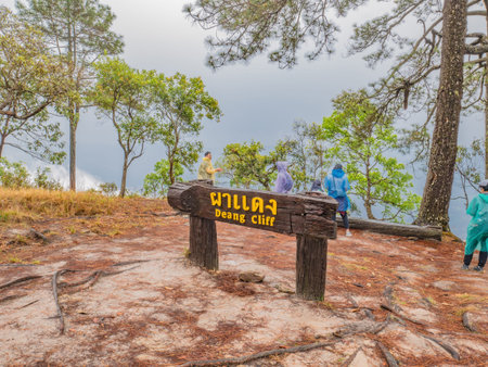 Loei/Thailand-17 Feb 2019:Unacquainted Tourist on Dang Cliff on Phu Kradueng mountain national park in Loei City Thailand.Phu Kradueng mountain national park the famous Travel destinationのeditorial素材