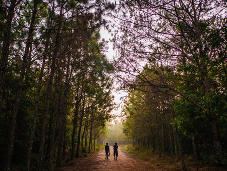 Nature trail in the morning on Phu Kradueng mountain national park in Loei City Thailand.Phu Kradueng mountain national park the famous Travel destinationの写真素材