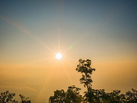 Beautiful sunrise and sea of the fog or mist on top of Phu Kradueng mountain national park in Loei City Thailand.Phu Kradueng mountain national park the famous Travel destinationの写真素材