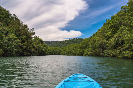 Kayaking on the Klong Chao river at koh kood island trat thailand.Koh Kood, also known as Ko Kut, is an island in the Gulf of Thailandの写真素材