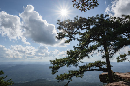 Beautiful scenery view of Lomsak Cliff on Phu Kradueng mountain national park in Loei City Thailand.Phu Kradueng mountain national park the famous Travel destinationの写真素材