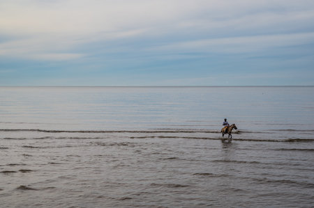 Prachuap Khiri Khan.Thailand. 31.07.2022.:unacquainted people riding a horse on huahin beach in the morning at Prachuap Khiri Khan thailand.Hua Hin Beach is one of the most popular beaches in Thailandのeditorial素材
