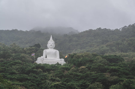 White buddha statue on the mountain in Wat Thep Phithak Punnaram temple Nakhon Ratchasima.の写真素材