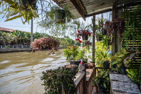 Flower hanging on the roof beside Burirom Canal at Hua ta khe old marketの写真素材