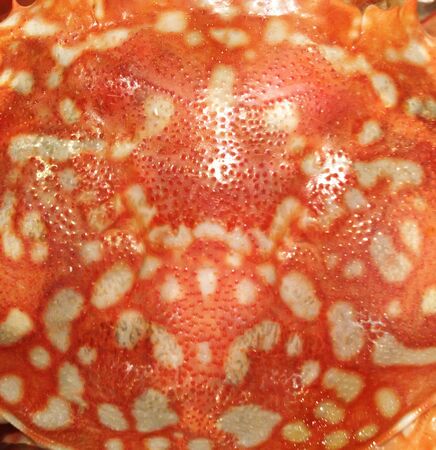 Surface of the crab is cooked の写真素材