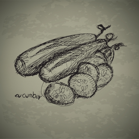 Hand drawn illustrations of cucumbers on grunge backgroundのイラスト素材