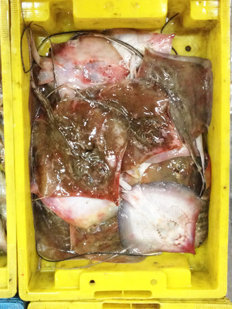 Ray fish on yellow tray at fishmarket for food processing industry 