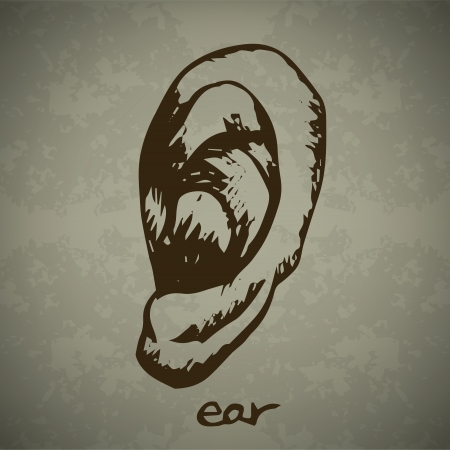 Human ear Hand drawn outline artworkのイラスト素材
