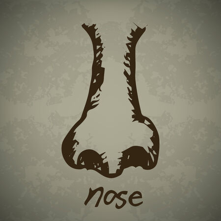 Human nose Hand drawn outline artwork, raster image for child developmentのイラスト素材