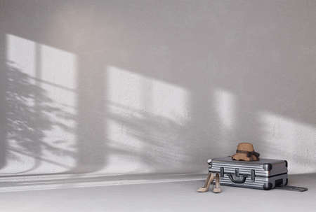 Gray luggage on colour background for transportation travel. 3D Renderingの写真素材