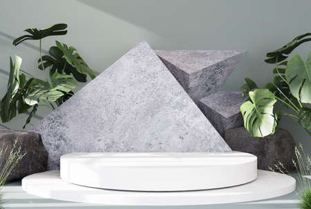 Podium product display stand with nature leaves on abstract background. 3D renderingの写真素材