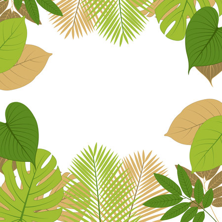 A frame of tropical leaves with a white backgroundの素材