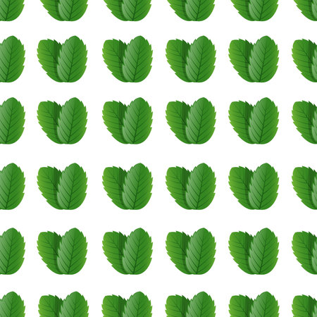 Seamless pattern with mint leaves on white background. Vector illustration.のイラスト素材