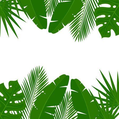 Summer background with tropical palm leaves. Vector Illustration. EPS10のイラスト素材