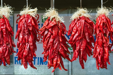 Chili Ristraの写真素材